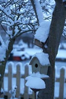 Nesting box covered in snow