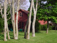 Red house and woodland garden