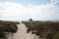 Sand dunes, USA