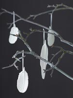 White feather decorations