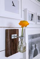 Wall mounted bottle with Ranunculus flower
