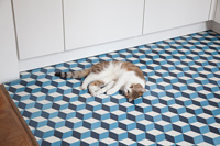 Cat lying on kitchen floor