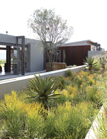 Contemporary house and garden with succulents