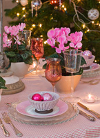 Dining table decorated for christmas with potted Cyclamen