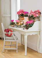 Christmas houseplants and decorations on white desk
