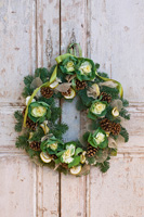 Christmas wreath with Ornamental cabbage and conifer foliage