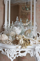 Shells, dried flowers and coral displayed on ornate console table