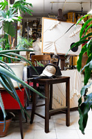 Studio with houseplants
