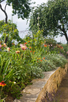 Garden borders with Dahlias and Heleniums