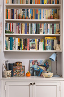 Bookshelves in alcove