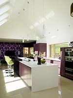 Modern kitchen extension