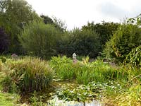 Pond with marginal plants