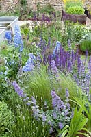 Colourful garden border with Lavender, Catmint and Delphinium flowers