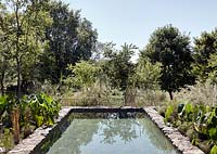 Swimming pool in woodland garden
