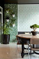 Houseplants in dining room