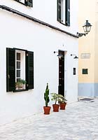Whitewashed townhouse with succulents in clay pots