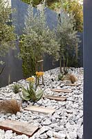 Courtyard garden with drought tolerant plants