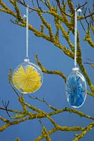 Transparent baubles containing wool stars hanging from a branch covered in Lichen