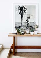 Houseplants on wooden console table