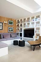 Television with storage alcoves