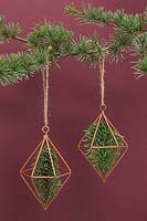 Copper prisms containing pine foliage, hanging from christmas tree