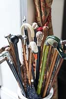 Walking stick collection