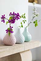 Flowers in patterned vases