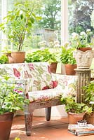 Floral seat in conservatory
