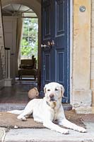 Labrador lying by front door