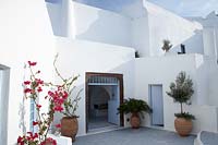 Whitewashed house and courtyard garden