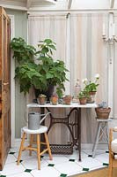 Pot plants displayed on vintage sewing table