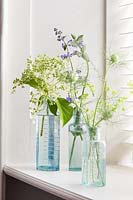 Nigella, Catmint and Alchemilla flowers in blue bottles