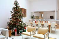 Open plan living space decorated for christmas
