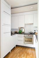Compact kitchen area