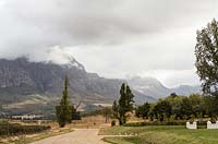 Mountains and vineyard, Tulbagh Valley, South Africa