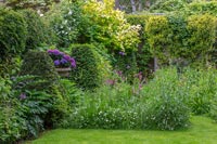 Back garden with clipped Box topiary pyramids and flowering Hydrangea in stone urn