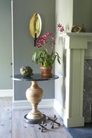 Flowering Orchid on side table