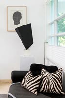 Zebra print cushions