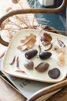 Dried fruits and seed pods on square plate