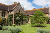 The Outer Court with climbing roses, topiary and a mulberry tree - Cothay Manor