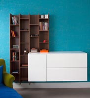 Wall mounted bookshelves and storage unit