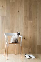 Cat sitting on modern armchair