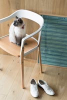 Cat sitting on modern armchair