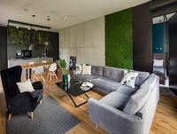 Modern open plan apartment