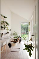 White study with houseplants