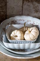 Pumpkins in white dish