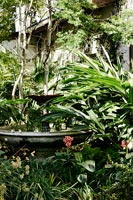Fountain in tropical garden