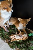 Detail of stuffed foxes in Christmas display