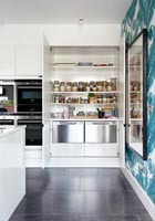 Open kitchen cupboard