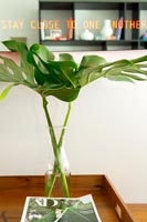 Glass vase with green foliage 